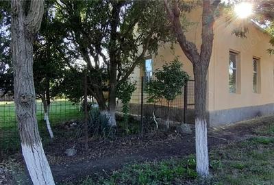 Casă cu 6 camere cu Teren 1400 Mp în Checea - 6