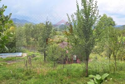 Casă cu 6 camere cu Teren 2700 Mp în Bradu - 5