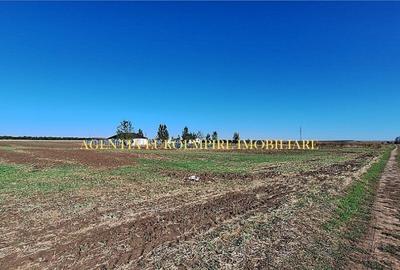 Teren de 400 mp, în Sud - 3