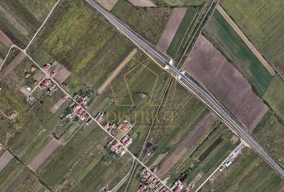 Teren Construcții intravilan de 3508 mp, în Ghiroda - 3