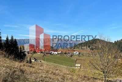 Teren Fundatica intravilan 4500 mp - 6