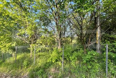 Teren de 2700 mp, în Central - 3