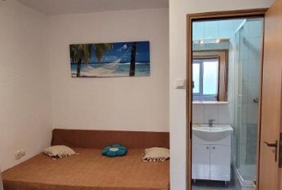 Inchiriere Garsoniera la curte Parc Bazilescu - Piata 16 Februarie - 3