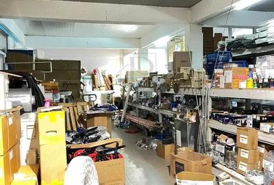 MIRCEA CEL BATRAN - CASA INDIVIDUALA + TEREN GENEROS - SAD - INVESTITIE UNICA - 10