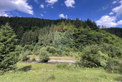 Teren spectaculols de vanzare la baza Muntelui Iezer 11.546 mp c - 1