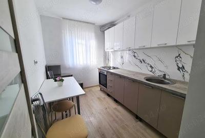 Apartament de INCHIRIAT - 2 camere Malu Rosu - 5
