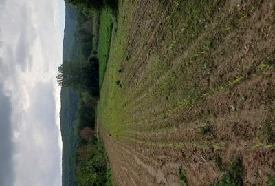 Teren agricol sat.Voroveni - 2