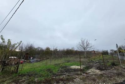 Teren de 16000 mp, în Brănești
