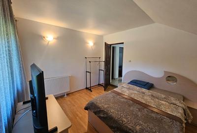 Vila Exclusivista Vetel  pe valea Caoiului-OFERTA SPECIALA DE SARBATORI! - 9