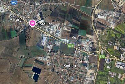 Teren Construcții intravilan de 7683 mp, în Borș - 1