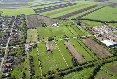 Hală de 430 mp și teren intravilan 2.5 ha Macea - 2