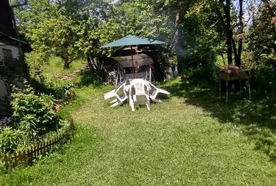 Casă individuală cu 3 camere cu Teren 8000 Mp în Central - 2