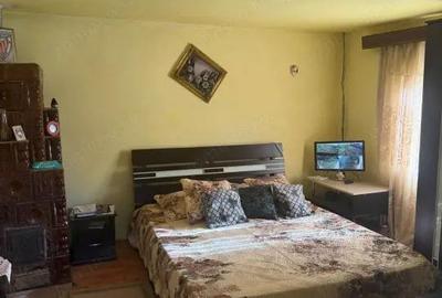 Casa 133 mp utili, 3300 mp teren, Ciutura - 4