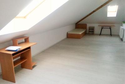 Apartament cu 2 camere decomandat în Dosu Bricii - 3