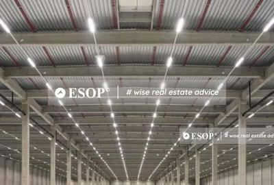 Spațiu comercial, de 3,000 mp, în Ariceștii Rahtivani - 2