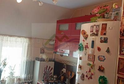 Garsonieră în Paltin - 19