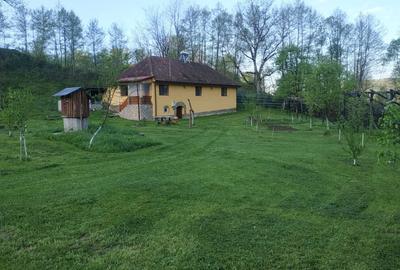 Casă cu 3 camere în Hărțăgani - 1