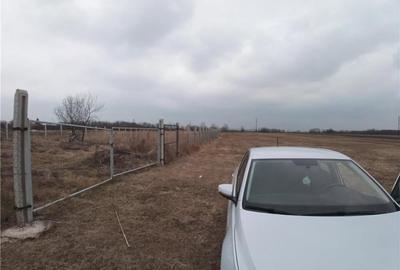 Teren de 1000 mp, în Priseaca - 3