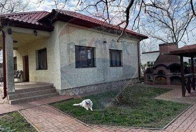 Casa de vanzare cu livada si piscina - Giurgiu - 5