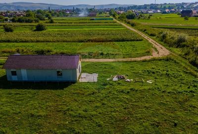 0% COMISION | Teren de vanzare Bod | 700 mp | Constructie pe teren - 5