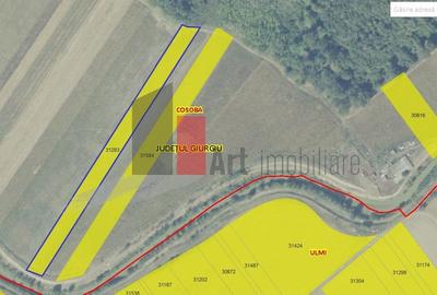 Giurgiu Teren Intravilan Padure Joita - 1