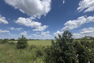 RECO Teren intravilan, zona Cartier Balcescu - 4