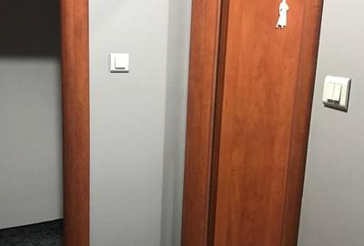 Spatiu comercial stradal Stefan cel Mare 180 mp - 6