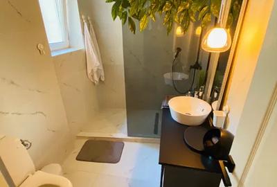 Inchiriez apartament 4 camere zona CENTRALA-CENTRU VECHI, 1200 EURO - 6