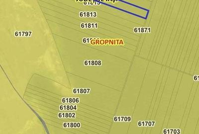 Teren de 17000 mp, în Gropnița - 2
