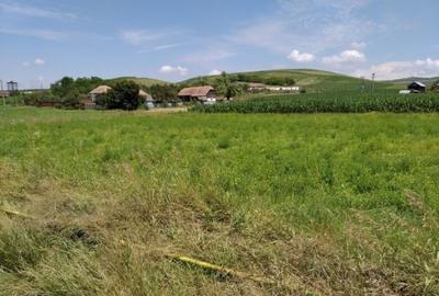 Teren de 6600 mp, în Band - 2