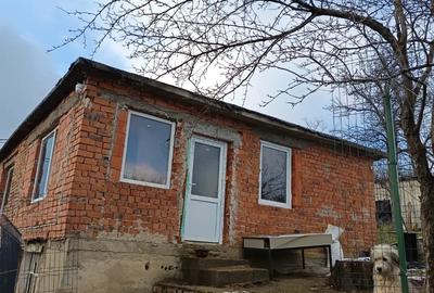 Vand casa cu 5000 mp teren - 3