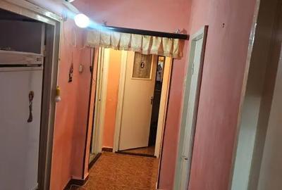 Apartament cu 3 camere decomandat în Valea Rosie - 7