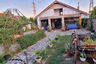 Casa, 170 mp, teren 1400 mp, zona Bariera Valcii - 10