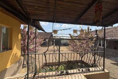 Casă individuală cu 4 camere cu Teren 5526 Mp în Cheșa - 16