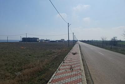 Teren de vanzare in Costinesti zona Golful Francez Teren de vanzare in Costinesti zona Golful Francez - 5