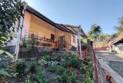 Casă cu 3 camere cu Teren 1650 Mp în Bărdești - 1