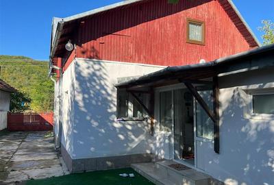 Casa de vanzare in Cocorastii Caplii la 7 KM de Campina - 3