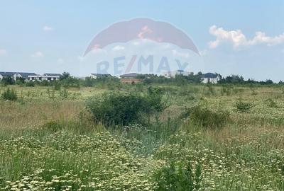 DE VANZARE Teren intravilan 600mp Drumul Piscul Mosului SISESTI - 19