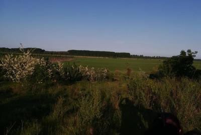 Teren intravilan de 2200 mp, în Chiscani - 2