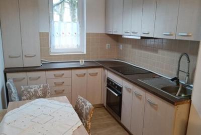 Apartament 3 camere parter Ion Slavici - 5