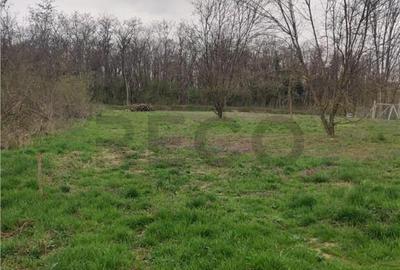 RECO . TEREN INTRAVILAN PALEU - 4