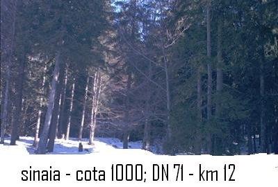 Teren intravilan Parcul Natural Bucegi - Sinaia Cota 1000 - 3