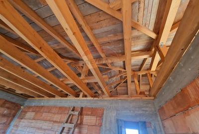 Casa si 74000 metri patrati teren - 2