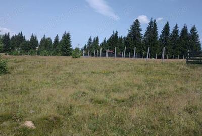 Teren de 8640 mp, în Beliș