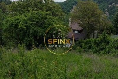 Teren intravilan cu deschidere la parau in Breaza - Strada Primaverii - 9