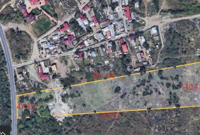 Teren Construcții intravilan de 25160 mp, în Glina - 1
