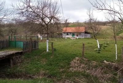 Casa din caramida cu teren la tara Casa din caramida cu teren la tara - 3