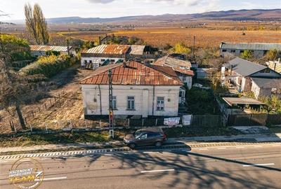 FILM! Casa boieresca autentica,domeniu de 4.000 mp intravilan,in podgoriile Odob - 16