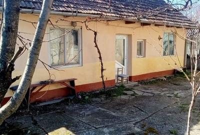 Casă cu 4 camere în Șimand - 3