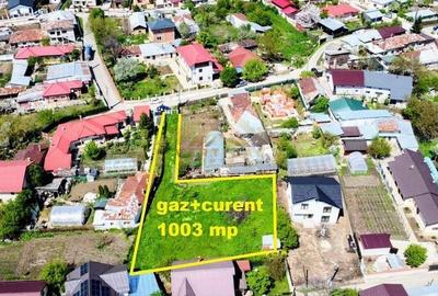 Teren perfect pentru dezvoltatori - comuna Berceni - 3